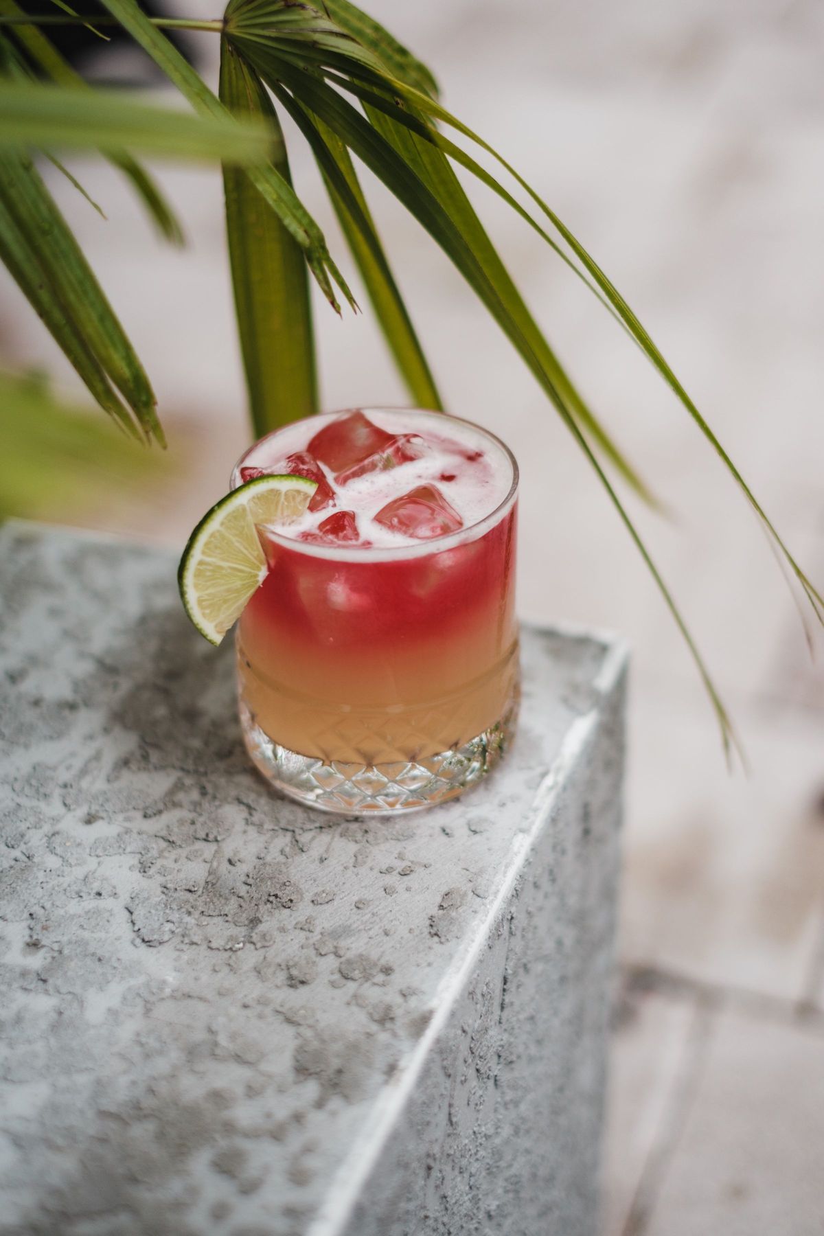 Dragon's Dream cocktail